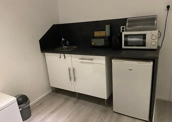 布洛姆安德格拉施酒店 住宿加早餐酒店 多德雷赫特