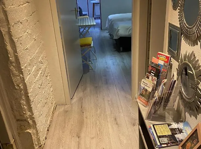 布洛姆安德格拉施酒店 住宿加早餐酒店 多德雷赫特