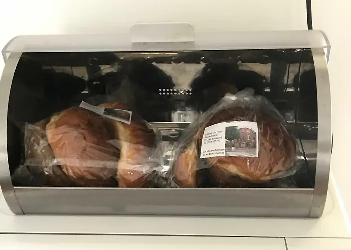 布洛姆安德格拉施酒店 4* 多德雷赫特