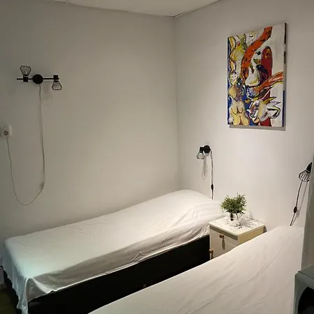 布洛姆安德格拉施酒店 4* 多德雷赫特