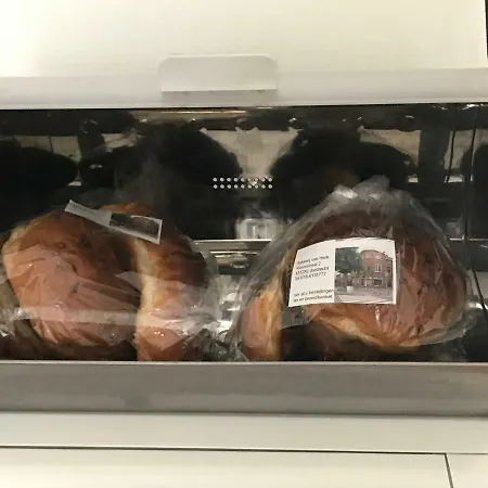 布洛姆安德格拉施酒店 4* 多德雷赫特